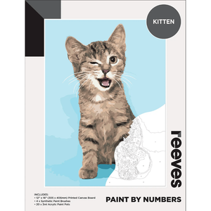 Reeves Paint by Numbers Kits