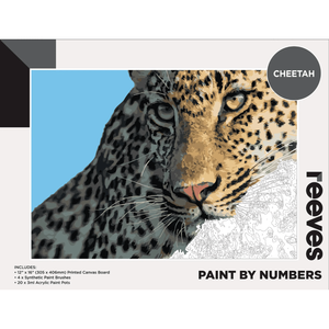Reeves Paint by Numbers Kits