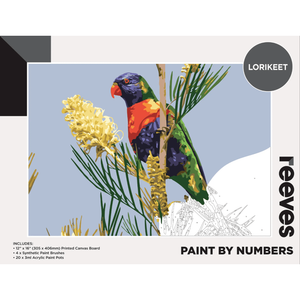 Reeves Paint by Numbers Kits