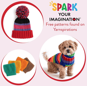 Red Heart Super Saver Yarn Knit Kit with Accessories