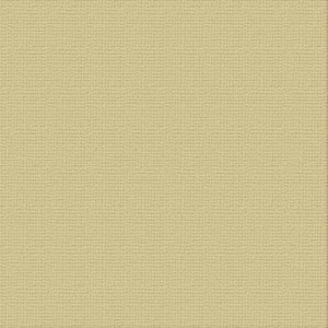 250gsm Cardstock 12"x12" - Couture Creations