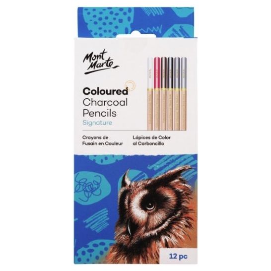 Coloured Charcoal Pencils 12pce - CRAFT2U