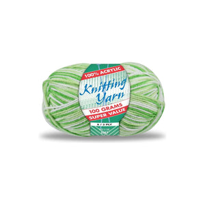 Yatsal Knitting Yarn 8 ply 100g Multicolour