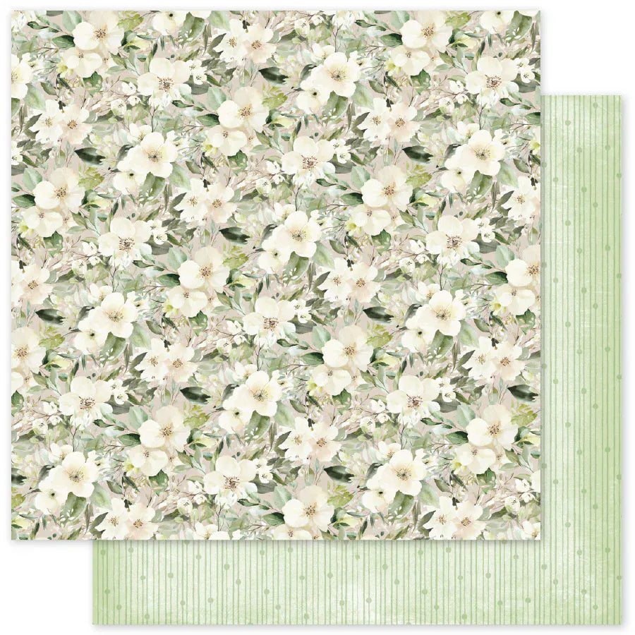 Little Koala Adventures - Paper Rose Studio - ETA Late June