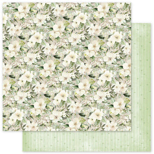 Little Koala Adventures - Paper Rose Studio - ETA Late June