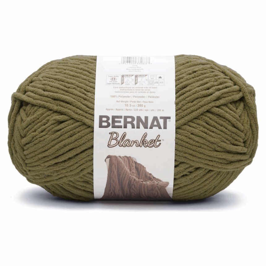 Bernat Blanket Yarn - Smoky Green, 220 yards