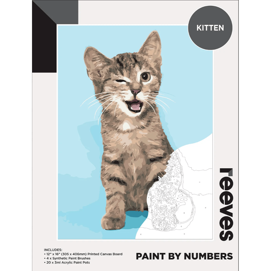 Reeves Paint by Numbers Kits