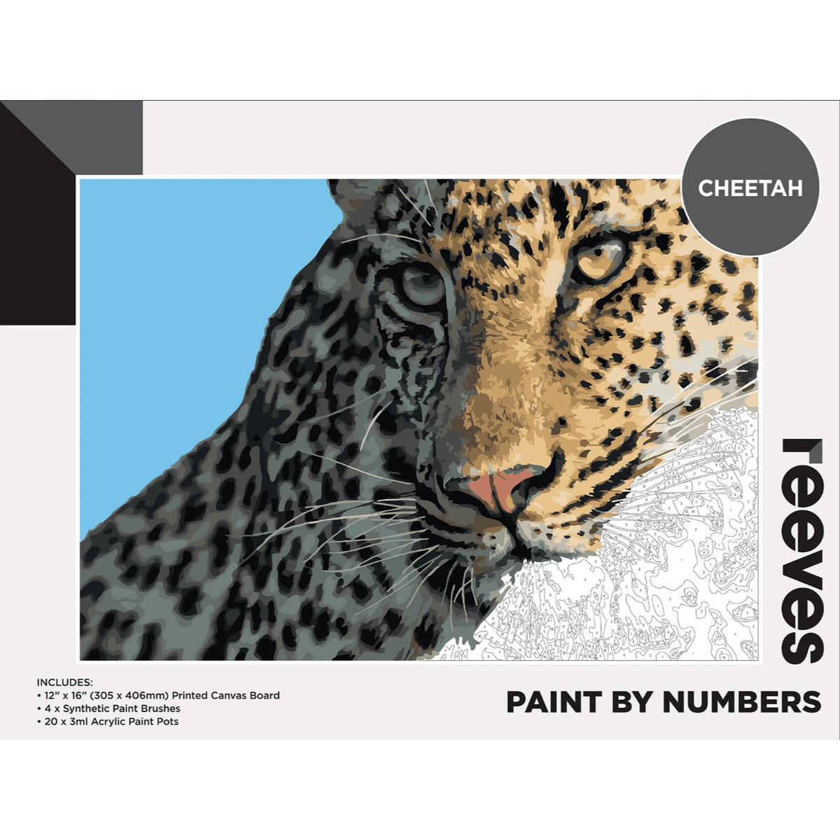 Reeves Paint by Numbers Kits