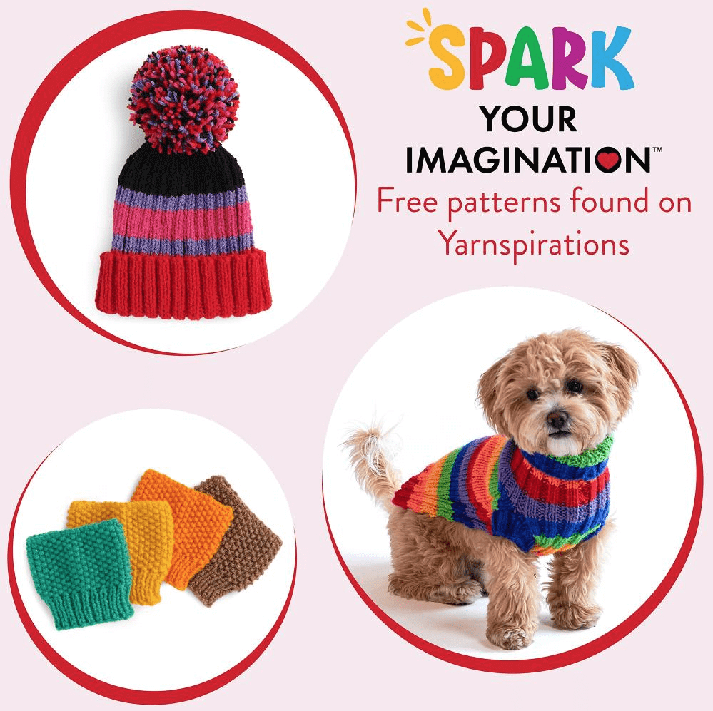 Red Heart Super Saver Yarn Knit Kit with Accessories