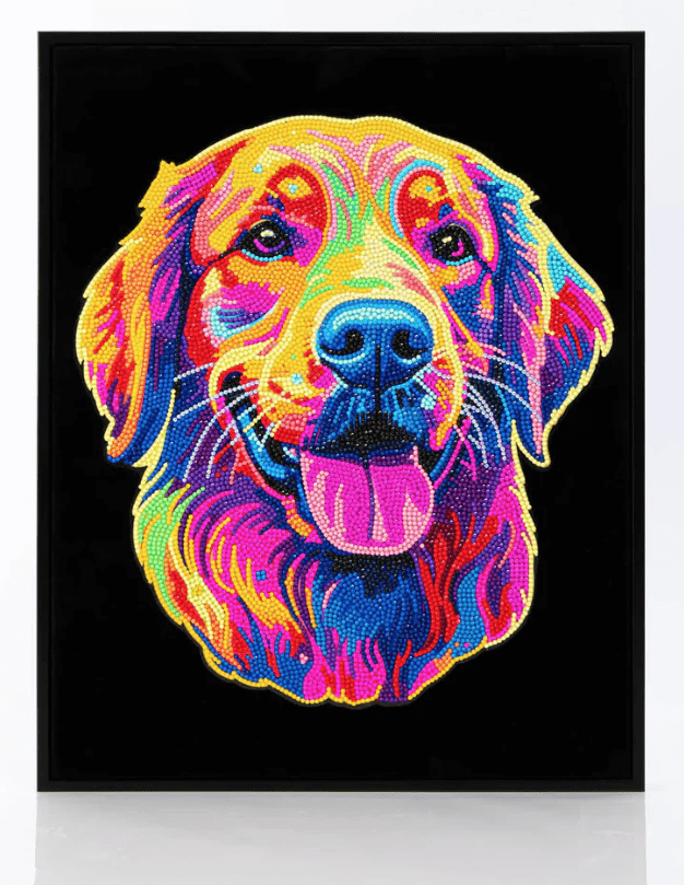 Diamond Dotz Neon Kits 35.5 x 45.7cm