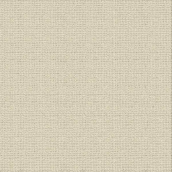 216gsm Cardstock 12"x12" - Couture Creations
