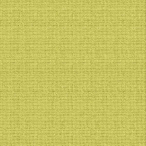 216gsm Cardstock 12"x12" - Couture Creations