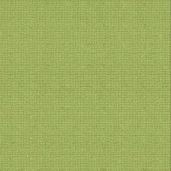 216gsm Cardstock 12"x12" - Couture Creations