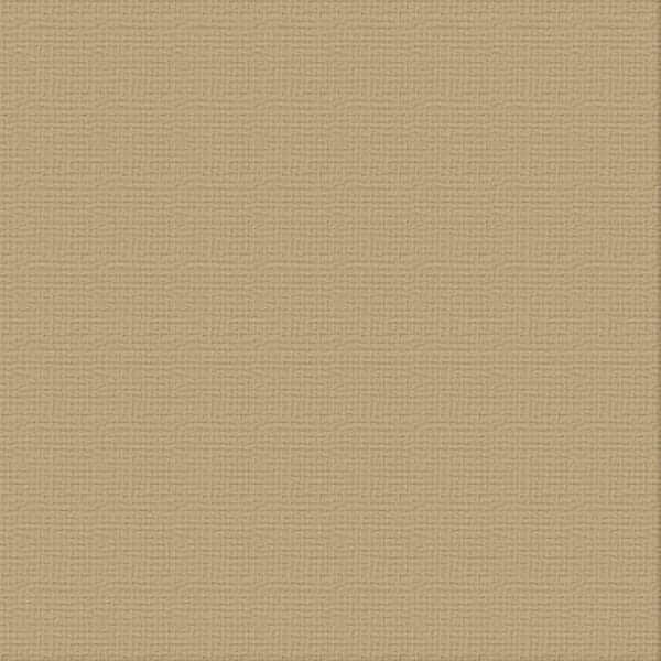 216gsm Cardstock 12"x12" - Couture Creations