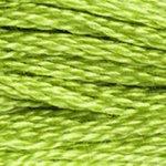 DMC Stranded Cotton Green ( 63 Colours ) - CRAFT2U