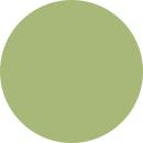 DMC Stranded Cotton Muted Green ( 29 Colours ) - CRAFT2U