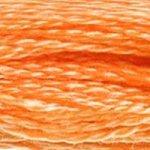 DMC Stranded Cotton Orange ( 19 Colours ) - CRAFT2U