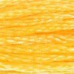 DMC Stranded Cotton Yellow ( 27 Colours ) - CRAFT2U